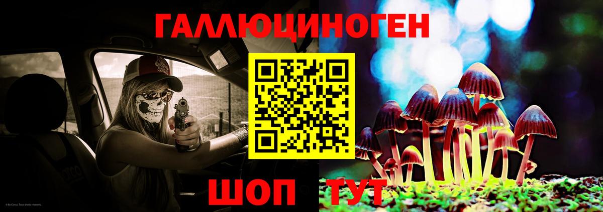 Черняховск  Псилоцибиновые грибы Psilocybe  Вход с VPN  Галлюциногенные грибы мицелий 