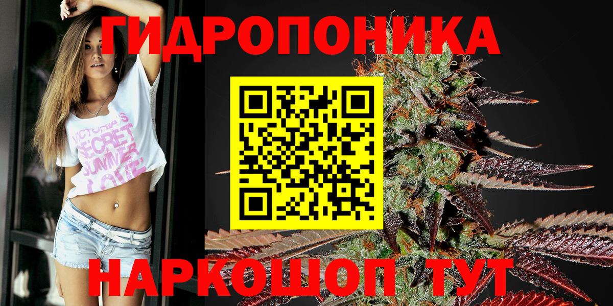 Бошки марихуана AK-47  Каннабис Bruce Banner  Марихуана тримм  Черняховск  Вход с VPN 